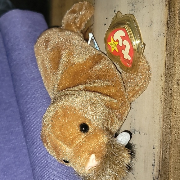 Ty Beanie Baby Bundle - Picture 6 of 11